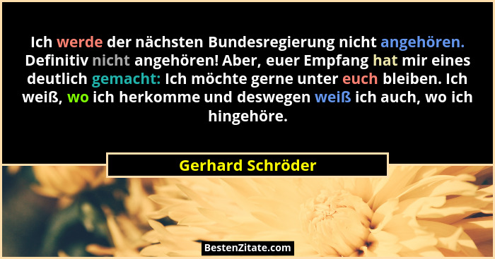 Ich werde der nächsten Bundesregierung nicht angehören. Definitiv nicht angehören! Aber, euer Empfang hat mir eines deutlich gemach... - Gerhard Schröder