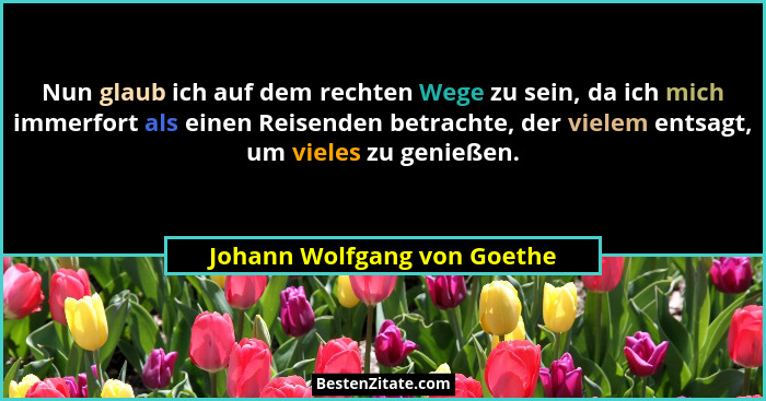 Nun glaub ich auf dem rechten Wege zu sein, da ich mich immerfort als einen Reisenden betrachte, der vielem entsagt, um v... - Johann Wolfgang von Goethe
