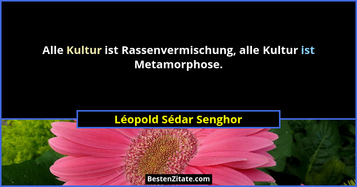 Alle Kultur ist Rassenvermischung, alle Kultur ist Metamorphose.... - Léopold Sédar Senghor