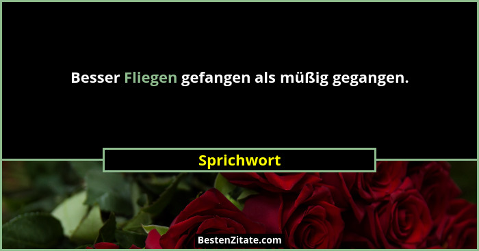 Besser Fliegen gefangen als müßig gegangen.... - Sprichwort