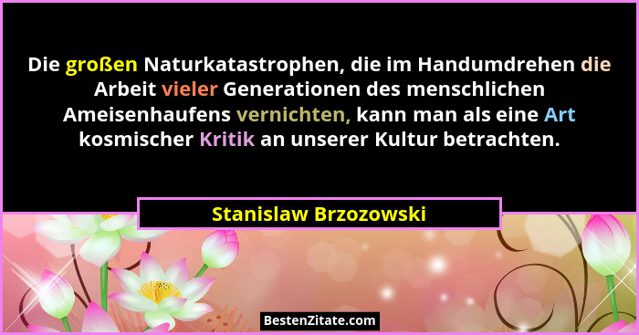 Die großen Naturkatastrophen, die im Handumdrehen die Arbeit vieler Generationen des menschlichen Ameisenhaufens vernichten, ka... - Stanislaw Brzozowski
