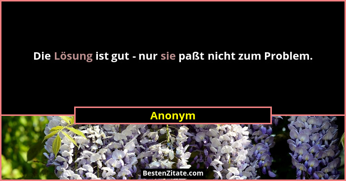 Die Lösung ist gut - nur sie paßt nicht zum Problem.... - Anonym