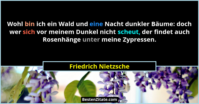 Wohl bin ich ein Wald und eine Nacht dunkler Bäume: doch wer sich vor meinem Dunkel nicht scheut, der findet auch Rosenhänge unt... - Friedrich Nietzsche