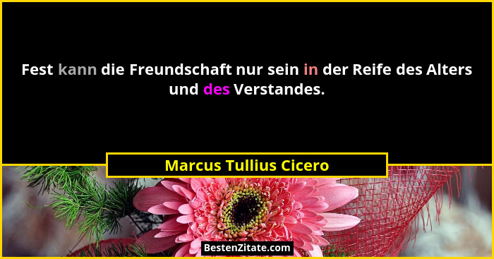 Fest kann die Freundschaft nur sein in der Reife des Alters und des Verstandes.... - Marcus Tullius Cicero