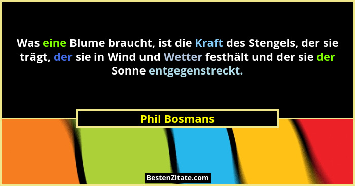 Was eine Blume braucht, ist die Kraft des Stengels, der sie trägt, der sie in Wind und Wetter festhält und der sie der Sonne entgegenst... - Phil Bosmans