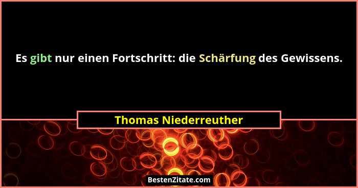 Es gibt nur einen Fortschritt: die Schärfung des Gewissens.... - Thomas Niederreuther
