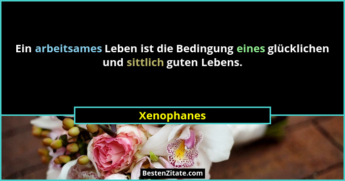 Ein arbeitsames Leben ist die Bedingung eines glücklichen und sittlich guten Lebens.... - Xenophanes