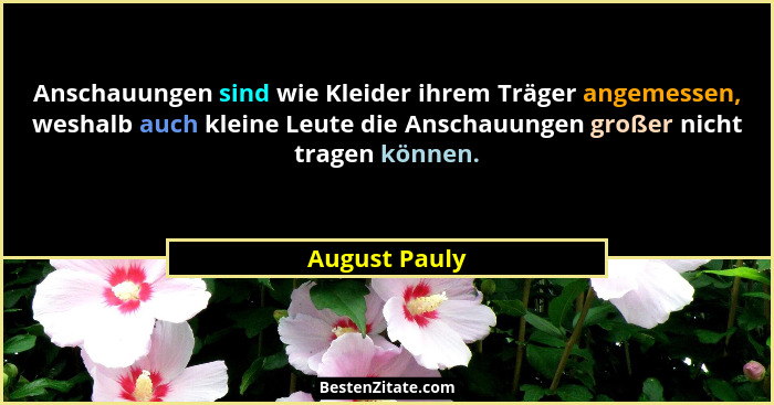 Anschauungen sind wie Kleider ihrem Träger angemessen, weshalb auch kleine Leute die Anschauungen großer nicht tragen können.... - August Pauly
