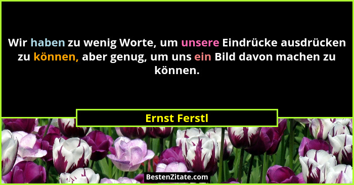Wir haben zu wenig Worte, um unsere Eindrücke ausdrücken zu können, aber genug, um uns ein Bild davon machen zu können.... - Ernst Ferstl