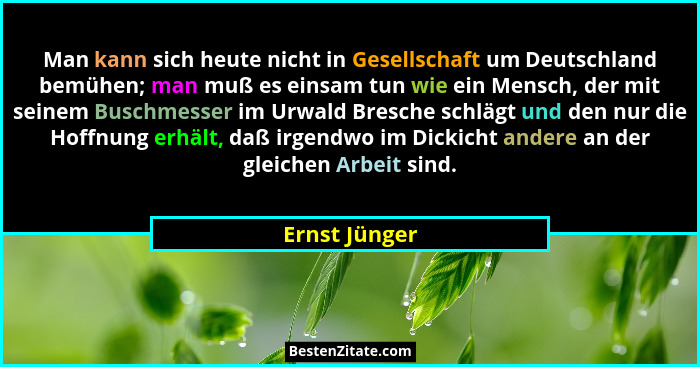 Man kann sich heute nicht in Gesellschaft um Deutschland bemühen; man muß es einsam tun wie ein Mensch, der mit seinem Buschmesser im U... - Ernst Jünger