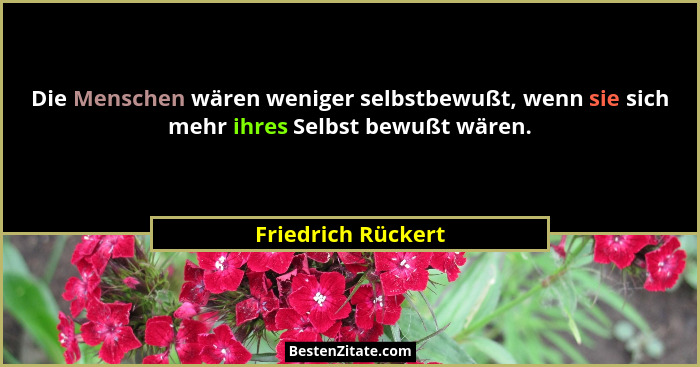 Die Menschen wären weniger selbstbewußt, wenn sie sich mehr ihres Selbst bewußt wären.... - Friedrich Rückert