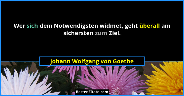 Wer sich dem Notwendigsten widmet, geht überall am sichersten zum Ziel.... - Johann Wolfgang von Goethe