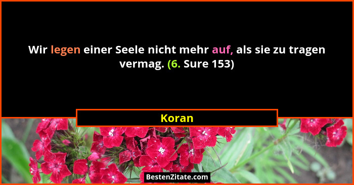 Wir legen einer Seele nicht mehr auf, als sie zu tragen vermag. (6. Sure 153)... - Koran