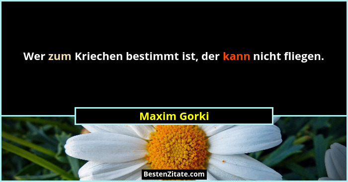 Wer zum Kriechen bestimmt ist, der kann nicht fliegen.... - Maxim Gorki