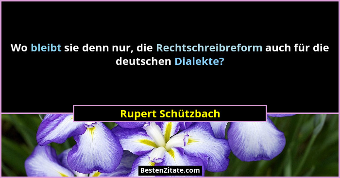 Wo bleibt sie denn nur, die Rechtschreibreform auch für die deutschen Dialekte?... - Rupert Schützbach