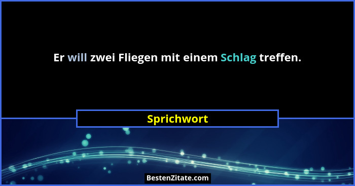 Er will zwei Fliegen mit einem Schlag treffen.... - Sprichwort