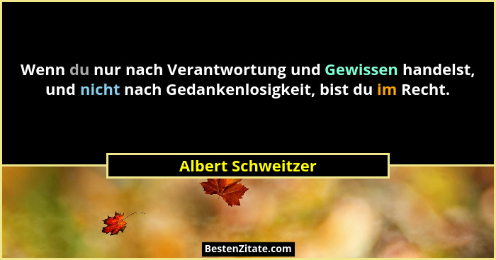 Wenn du nur nach Verantwortung und Gewissen handelst, und nicht nach Gedankenlosigkeit, bist du im Recht.... - Albert Schweitzer