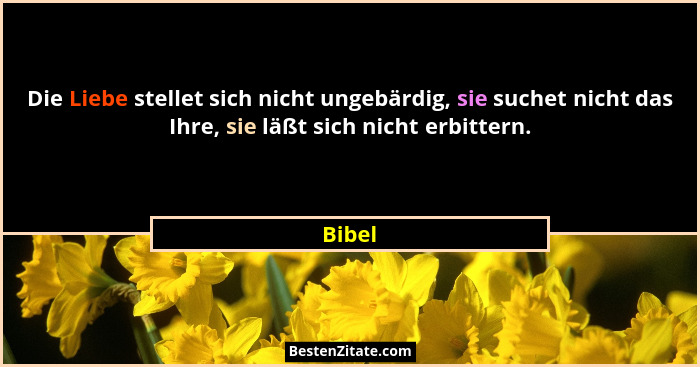 Die Liebe stellet sich nicht ungebärdig, sie suchet nicht das Ihre, sie läßt sich nicht erbittern.... - Bibel