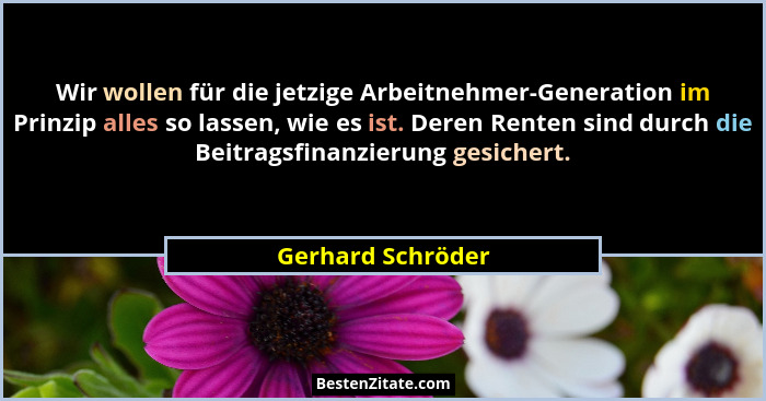 Wir wollen für die jetzige Arbeitnehmer-Generation im Prinzip alles so lassen, wie es ist. Deren Renten sind durch die Beitragsfina... - Gerhard Schröder