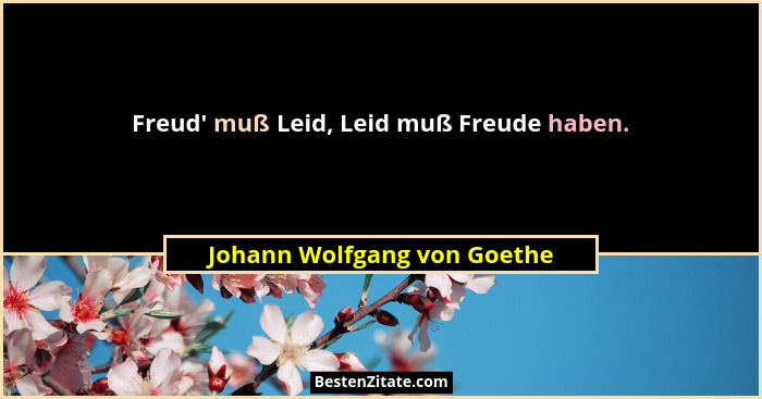 Freud' muß Leid, Leid muß Freude haben.... - Johann Wolfgang von Goethe