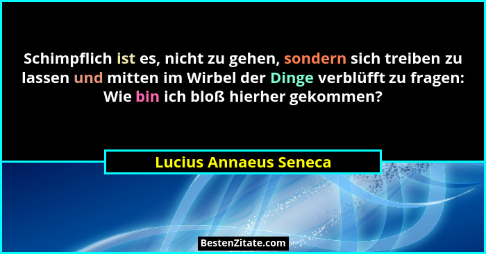 Schimpflich ist es, nicht zu gehen, sondern sich treiben zu lassen und mitten im Wirbel der Dinge verblüfft zu fragen: Wie bin... - Lucius Annaeus Seneca