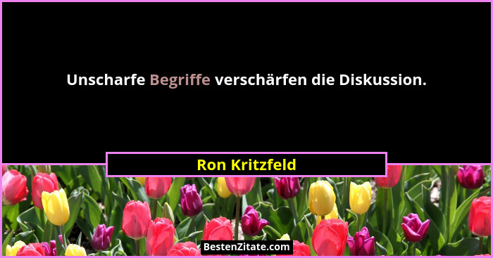 Unscharfe Begriffe verschärfen die Diskussion.... - Ron Kritzfeld
