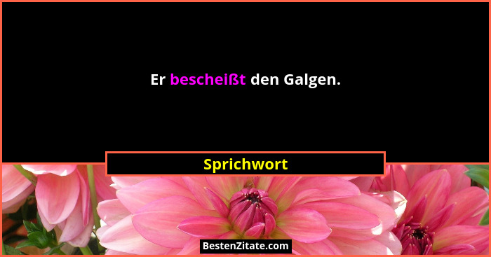 Er bescheißt den Galgen.... - Sprichwort