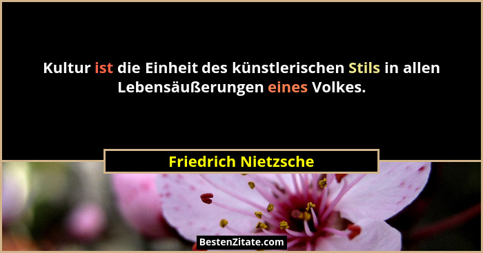 Kultur ist die Einheit des künstlerischen Stils in allen Lebensäußerungen eines Volkes.... - Friedrich Nietzsche