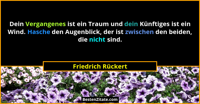 Dein Vergangenes ist ein Traum und dein Künftiges ist ein Wind. Hasche den Augenblick, der ist zwischen den beiden, die nicht sind... - Friedrich Rückert