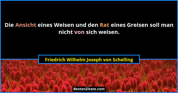 Die Ansicht eines Weisen und den Rat eines Greisen soll man nicht von sich weisen.... - Friedrich Wilhelm Joseph von Schelling