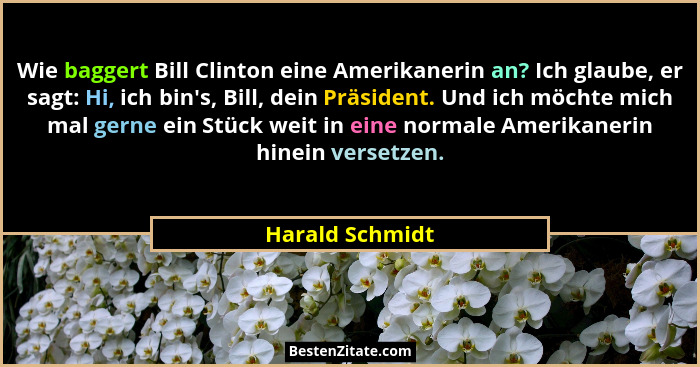 Wie baggert Bill Clinton eine Amerikanerin an? Ich glaube, er sagt: Hi, ich bin's, Bill, dein Präsident. Und ich möchte mich mal... - Harald Schmidt
