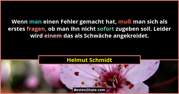 Wenn man einen Fehler gemacht hat, muß man sich als erstes fragen, ob man ihn nicht sofort zugeben soll. Leider wird einem das als Sc... - Helmut Schmidt
