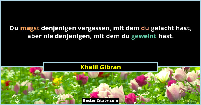 Du magst denjenigen vergessen, mit dem du gelacht hast, aber nie denjenigen, mit dem du geweint hast.... - Khalil Gibran