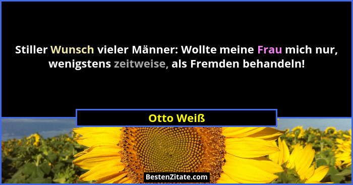 Stiller Wunsch vieler Männer: Wollte meine Frau mich nur, wenigstens zeitweise, als Fremden behandeln!... - Otto Weiß