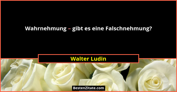 Wahrnehmung – gibt es eine Falschnehmung?... - Walter Ludin