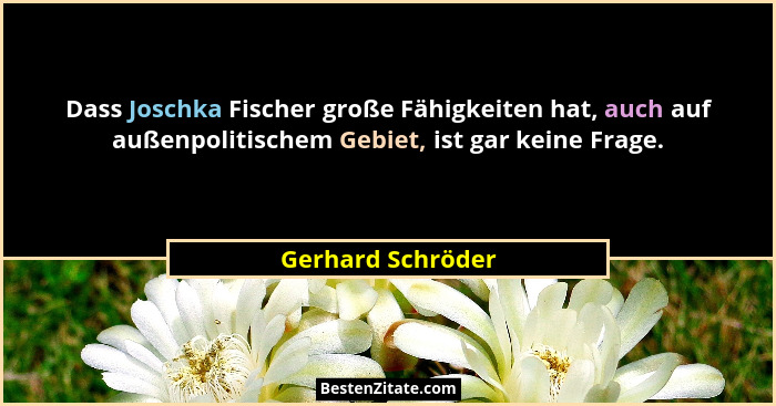 Dass Joschka Fischer große Fähigkeiten hat, auch auf außenpolitischem Gebiet, ist gar keine Frage.... - Gerhard Schröder