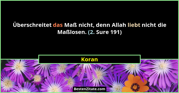 Überschreitet das Maß nicht, denn Allah liebt nicht die Maßlosen. (2. Sure 191)... - Koran