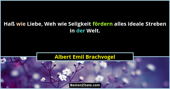 Haß wie Liebe, Weh wie Seligkeit fördern alles ideale Streben in der Welt.... - Albert Emil Brachvogel
