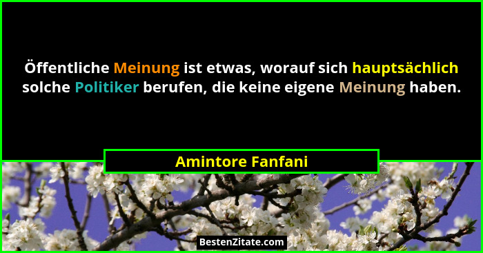 Öffentliche Meinung ist etwas, worauf sich hauptsächlich solche Politiker berufen, die keine eigene Meinung haben.... - Amintore Fanfani