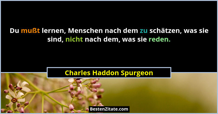 Du mußt lernen, Menschen nach dem zu schätzen, was sie sind, nicht nach dem, was sie reden.... - Charles Haddon Spurgeon