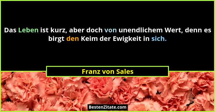 Das Leben ist kurz, aber doch von unendlichem Wert, denn es birgt den Keim der Ewigkeit in sich.... - Franz von Sales