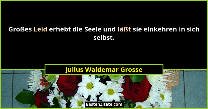 Großes Leid erhebt die Seele und läßt sie einkehren in sich selbst.... - Julius Waldemar Grosse