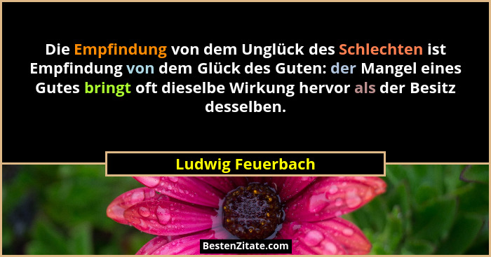 Die Empfindung von dem Unglück des Schlechten ist Empfindung von dem Glück des Guten: der Mangel eines Gutes bringt oft dieselbe Wi... - Ludwig Feuerbach