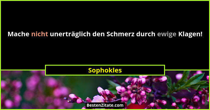 Mache nicht unerträglich den Schmerz durch ewige Klagen!... - Sophokles