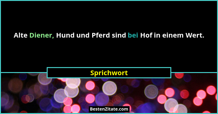 Alte Diener, Hund und Pferd sind bei Hof in einem Wert.... - Sprichwort