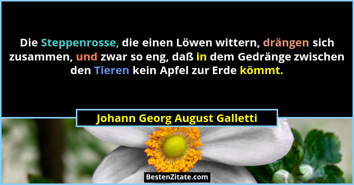 Die Steppenrosse, die einen Löwen wittern, drängen sich zusammen, und zwar so eng, daß in dem Gedränge zwischen den Tie... - Johann Georg August Galletti