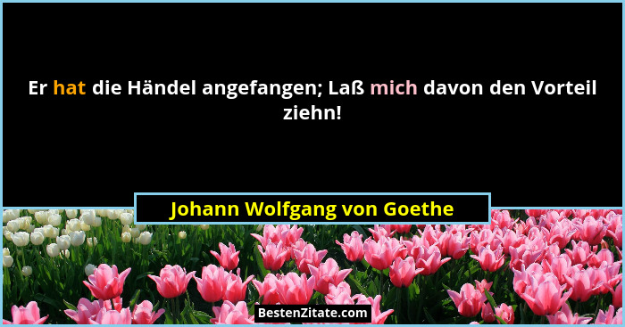 Er hat die Händel angefangen; Laß mich davon den Vorteil ziehn!... - Johann Wolfgang von Goethe
