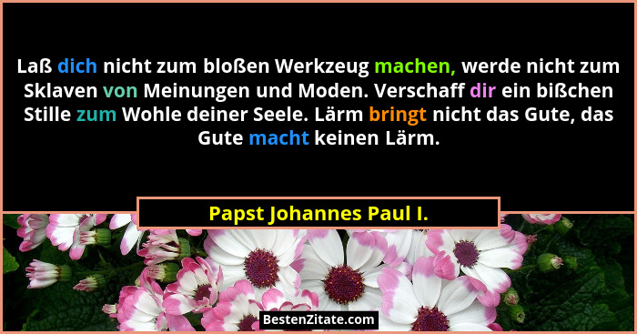 Laß dich nicht zum bloßen Werkzeug machen, werde nicht zum Sklaven von Meinungen und Moden. Verschaff dir ein bißchen Stille... - Papst Johannes Paul I.