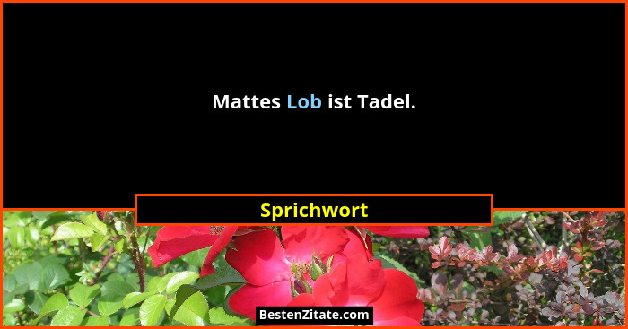 Mattes Lob ist Tadel.... - Sprichwort