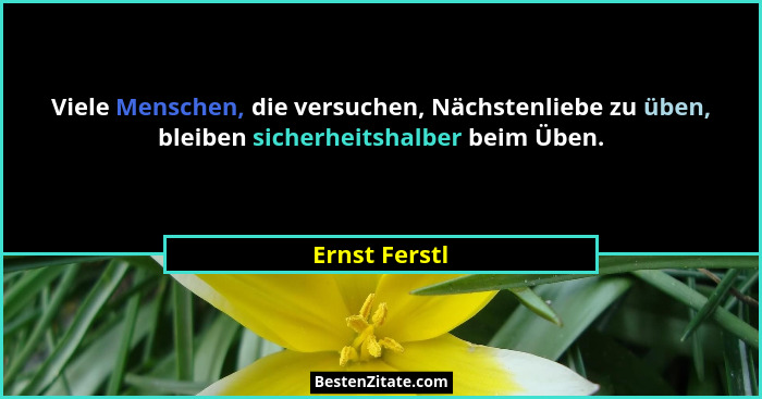 Viele Menschen, die versuchen, Nächstenliebe zu üben, bleiben sicherheitshalber beim Üben.... - Ernst Ferstl